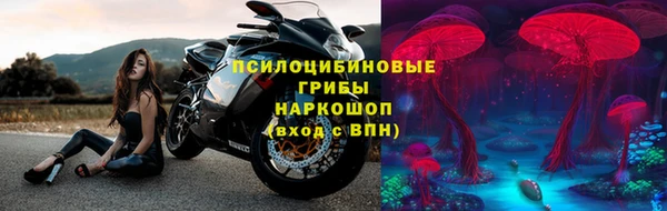ПСИЛОЦИБИНОВЫЕ ГРИБЫ Белоозёрский