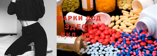 мдпв Белокуриха