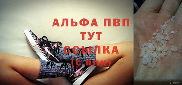 ПСИЛОЦИБИНОВЫЕ ГРИБЫ Белоозёрский
