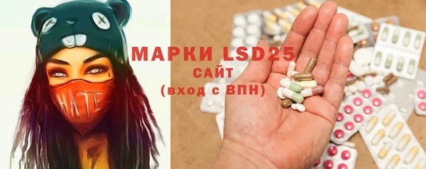 ПСИЛОЦИБИНОВЫЕ ГРИБЫ Белоозёрский