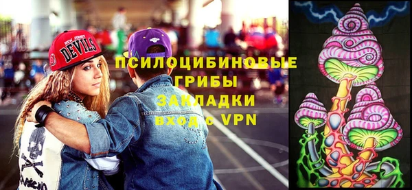 ПСИЛОЦИБИНОВЫЕ ГРИБЫ Белоозёрский