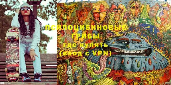 ПСИЛОЦИБИНОВЫЕ ГРИБЫ Белоозёрский